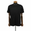 POLO RALPH LAUREN ポロ ラルフローレン クルーネック Tシャツ メンズ Lサイズ ブラック P051RL BK HANES