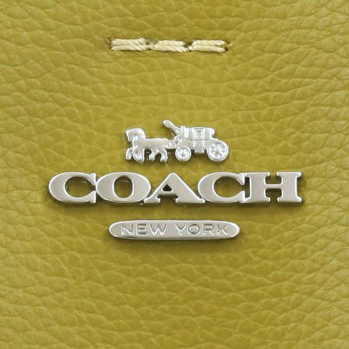 コーチ アウトレット ショルダーバッグ レディース ダブル フェイス レザー モリー バケット グリーン COACH OUTLET CA177 SV/C9