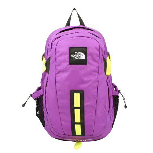 ザ ノースフェイス リュックサック バックパック メンズ レディース パープル THE NORTH FACE NF0A3KYJ PURPLE CACTAS FLOWER