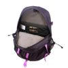 ザ ノースフェイス リュックサック バックパック メンズ レディース パープル THE NORTH FACE NF0A3KYJYIL AMETHYST PURPLE VIOLET CROCUS